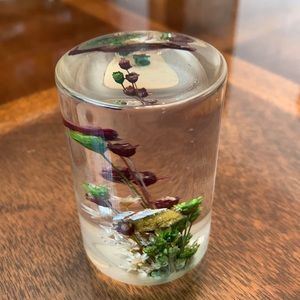 Vintage Daisyglas Company Real Flowers Antique Lucite Paperweight  HandCrafted